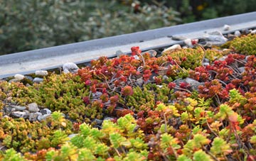 the cost of Nevern green roof installation