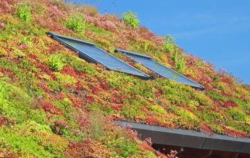 Nevern living roof systems